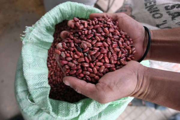 A L85.00 baja la medida de frijol rojo