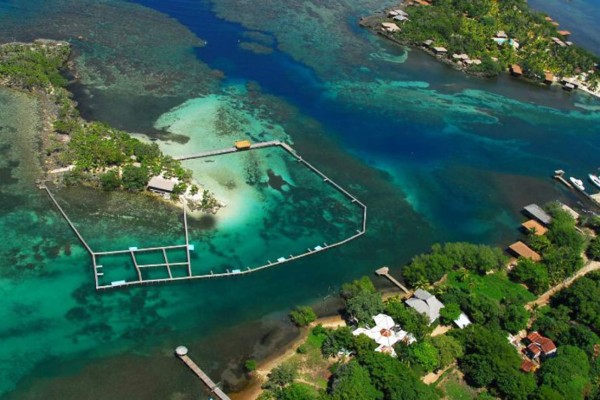 Turistas salvadoreños cancelan reservaciones por protestas en Honduras