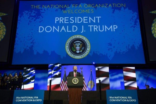 Casa Blanca pide no comparar a Trump con Bolsonaro