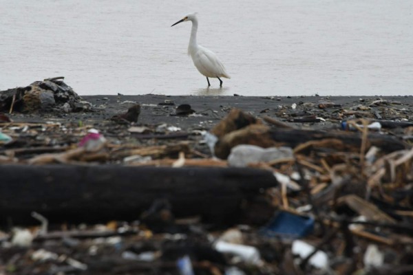 Islas de basura, la evidencia de una catástrofe ambiental en Honduras