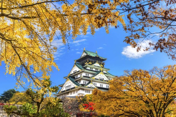 Osaka Castle in Osaka with autumn leaves. Japan.