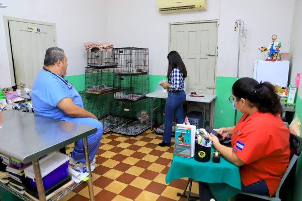 Funapa planea la construcción de un hospital veterinario