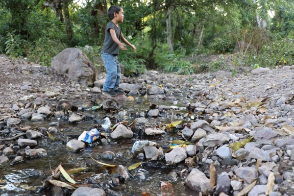 Occidente hondureño requiere ayuda por la sequía