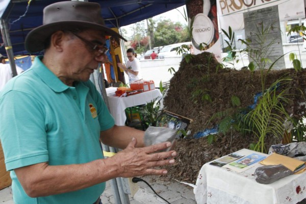 Productores de huevo en Copán desarrollan abono orgánico para cultivos agrícolas