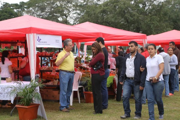 Mercado del Agricultor cautiva a los sampedranos