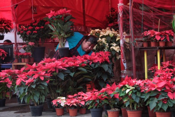 ¿De dónde vienen las pascuas?