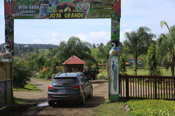 Honduras: Incautan 500 millones de dólares a 'Los Cachiros”