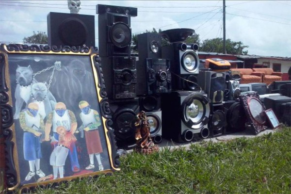 Decomisan en cárcel de Honduras perra pitbul, loros y combustible