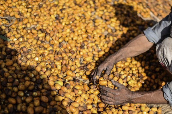 Honduras saca la cara en América con flujos de IED