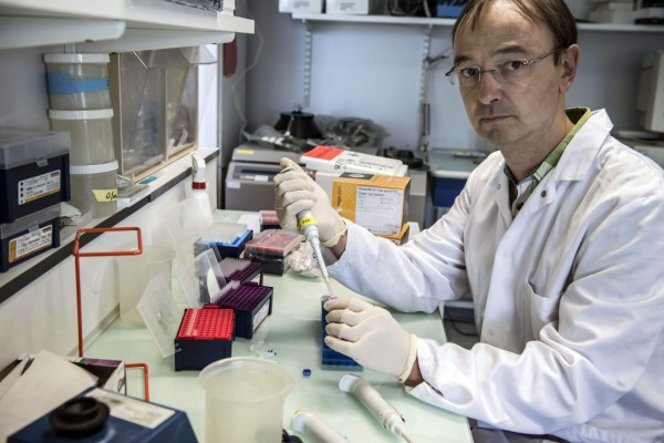 Afirman que el mundo está 'perdiendo la batalla' contra el ébola