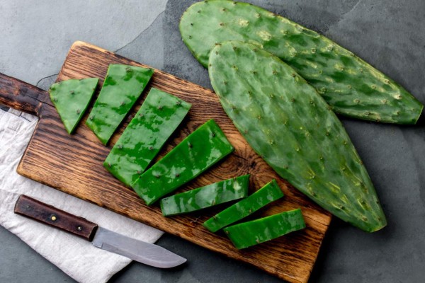 Consumir nopal ayuda a controlar diabetes e hipoglucemia, asegura experta