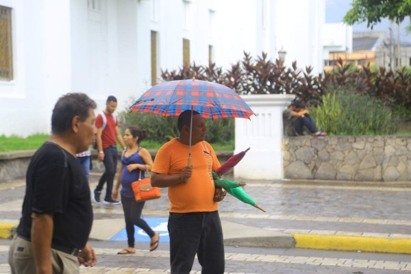 Temperaturas cálidas se esperan el fin de semana