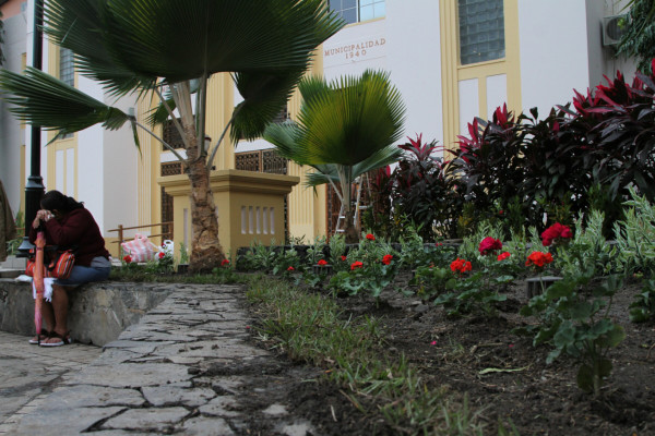 Calidonio alista sus cuadros de trabajo