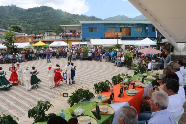 Con optimismo esperan próxima cosecha de café