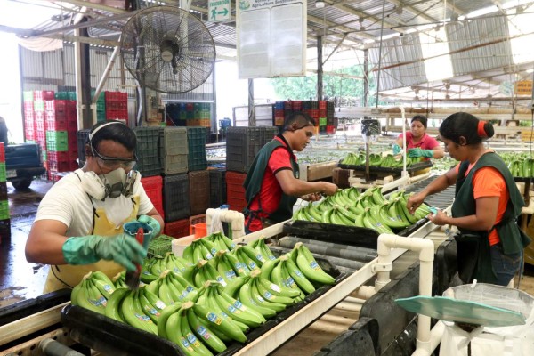 Pimienta, llena de historia y belleza natural