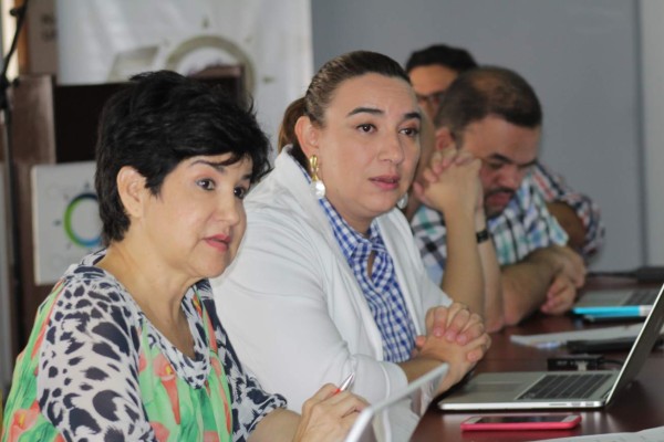 Comisión abrirá predios en aduanas para evitar pagos de sobreestadía