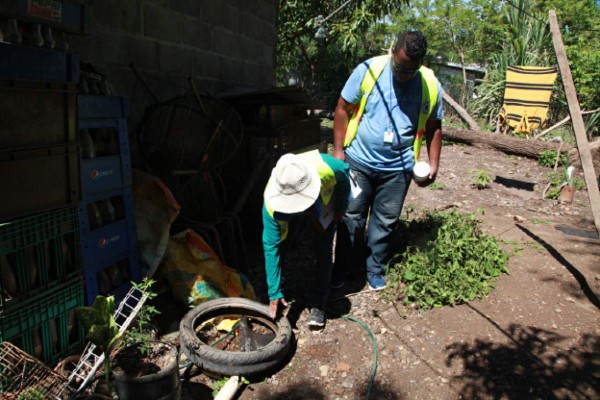 San Pedro Sula reporta 66 casos menos de dengue esta semana