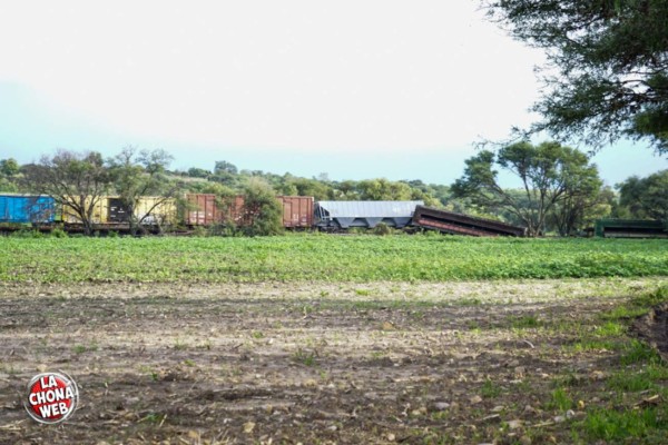 México: 12 hondureños salvan sus vidas al saltar de 'La Bestia'