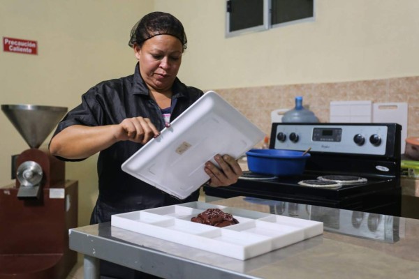 Crece cultivo de cacao en Santa Bárbara y Copán
