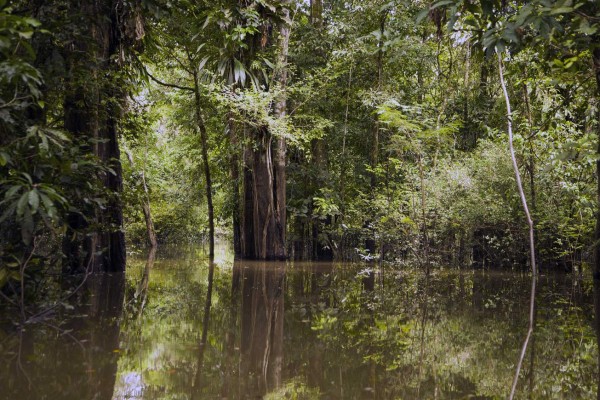 Amazonas, el tour de un hondureño