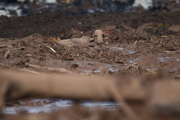 Pocas esperanzas de encontrar vivos a los 354 desaprecidos de la tragedia minera en Brasil