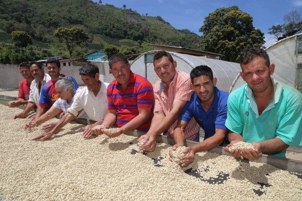 Taza de Excelencia los convirtió en exportadores