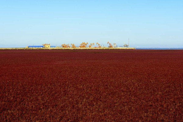 La Playa Roja, un increíble paisaje natural