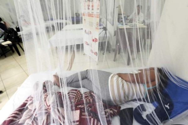 Sube a 177 la cifra de muertos por dengue hemorrágico en 2019 en Honduras