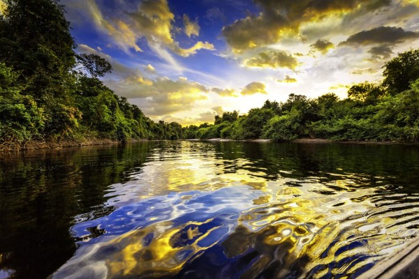 Dramatic colorful landscape on a river in the amazon state Venezuela at sunset