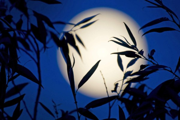 Noche de superluna se podrá apreciar el domingo en Honduras