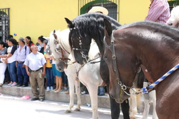 Bellas mujeres engalanan desfile hípico en Santa Rosa de Copán