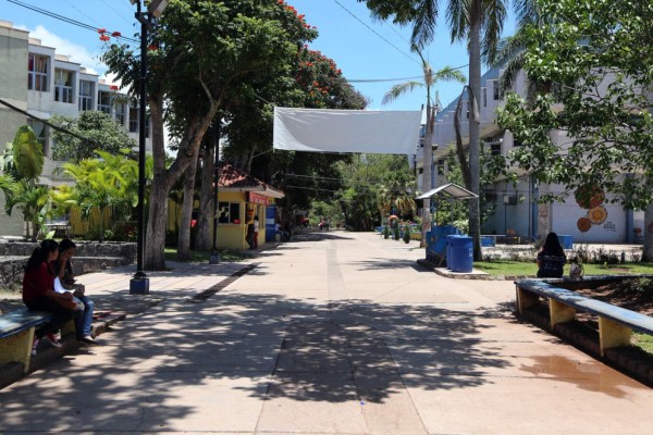 MEU permitirá clases si rector interino es electo en concurso