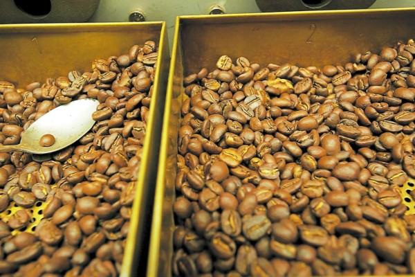 Santa Rosa de Copán, el verdadero placer del café