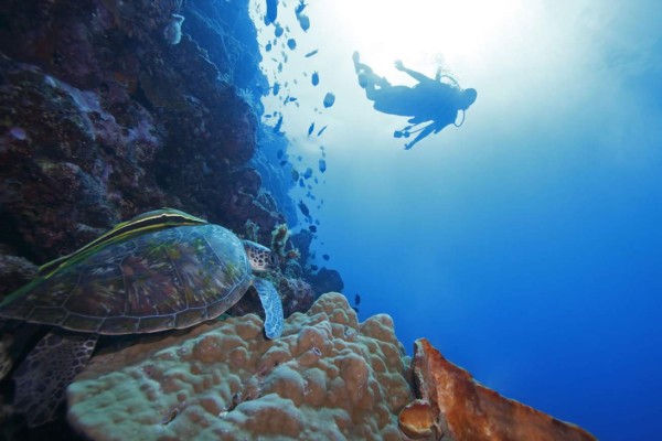 Ecuador: la naturaleza se une a la cultura