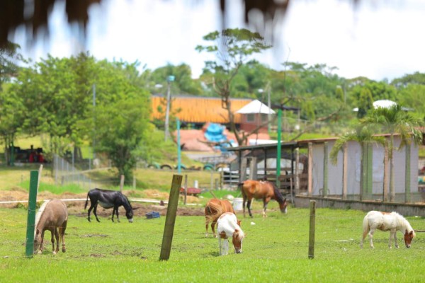 ICF documenta lugares de conservación