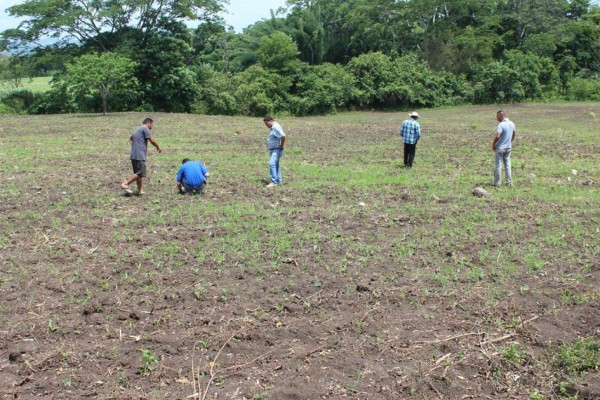 Campesinos hondureños esperan acciones para resolver pérdidas por sequía