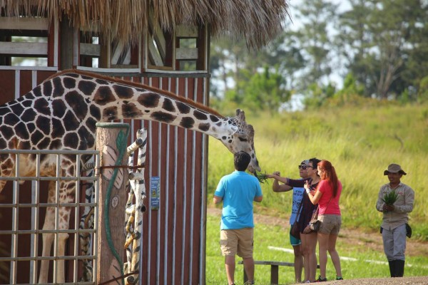 Zoo Joya Grande, una muestra de África en Santa Cruz