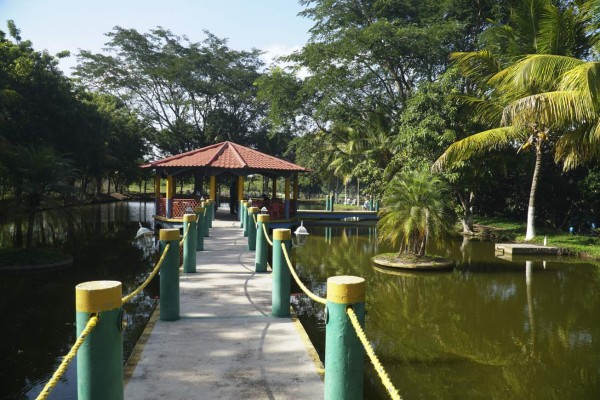 Lejamaní, tierra de chamalucos