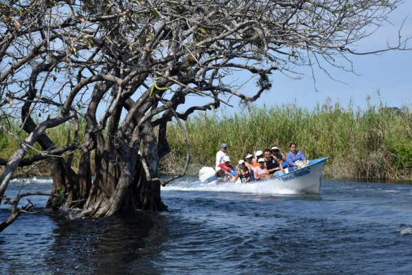 La Tovara, el santuario de 700 especies de plantas y fauna