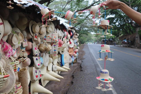 Ruta 504: Santa Bárbara, tierra de artesanos del junco y la palma