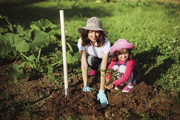 Consejos para trabajar bajo el sol sin afectar su salud﻿