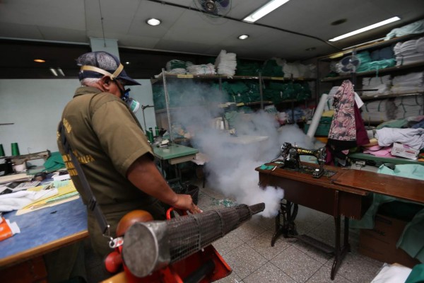 Unah habilitará laboratorio para estudiar a los zancudos que transmiten el zika