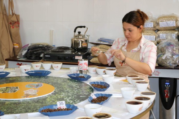 Competencia de cafés especiales superará las expectativas