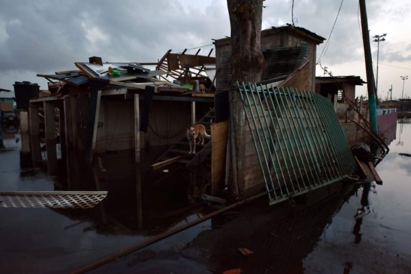 A dog is seen during the nightfall at a house destroyed by the passage of Hurricane Maria in Juana Matos, Catano, Puerto Rico, on September 26, 2017.The US island territory, working without electricity, is struggling to dig out and clean up from its disastrous brush with the hurricane, blamed for at least 33 deaths across the Caribbean. / AFP PHOTO / HECTOR RETAMAL