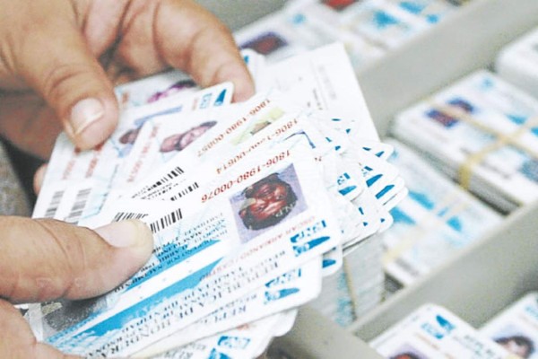 Unos L800 millones costarían cédulas