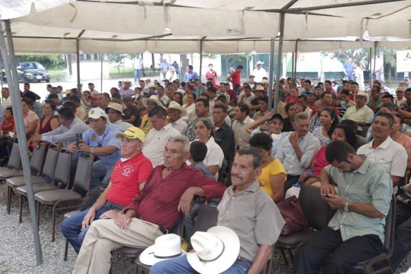 San Pedro Sula es el mayor productor de café en Cortés