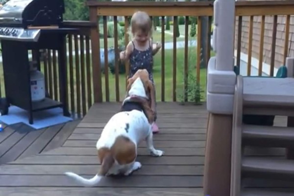 Video: El tierno baile de una niña junto a su perro