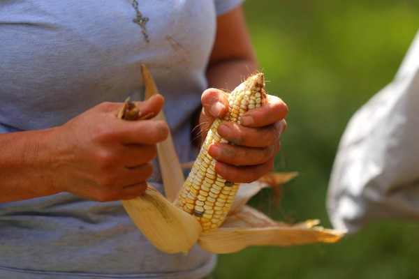 Yamaranguila, un destino en Honduras enclavado en las montañas