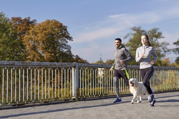 Tener mascota favorece la actividad