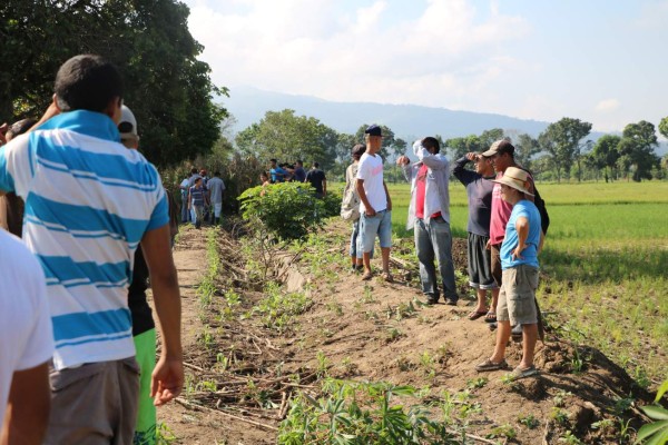 Entre 600 a 1,000 kilos de droga habrían bajado de avioneta